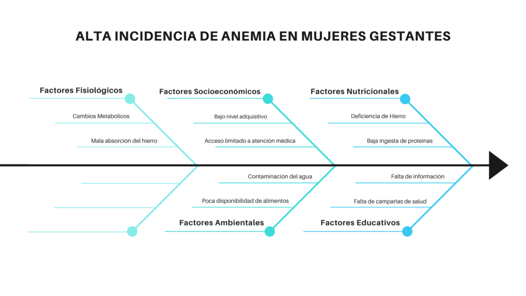 Revista artículo anemia-ishikawa
